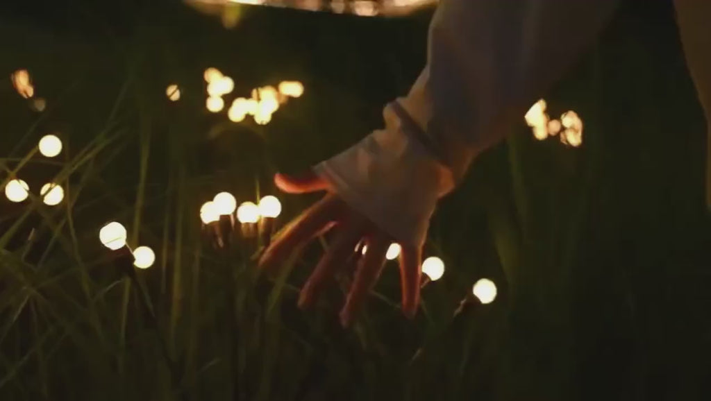 Lumières solaires décoratives "Lucioles" pour jardin